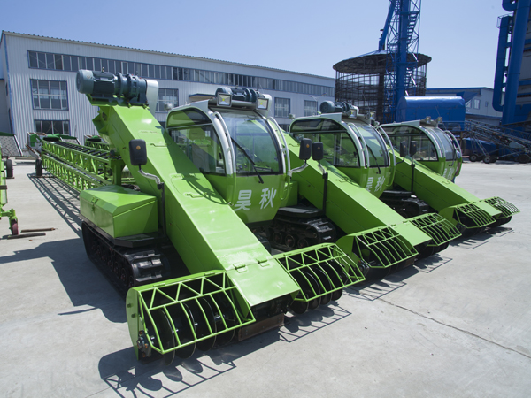 1509415596287385.jpg 2a7b17e5-193f-4849-8c95-53e84f9dc4a1.jpg